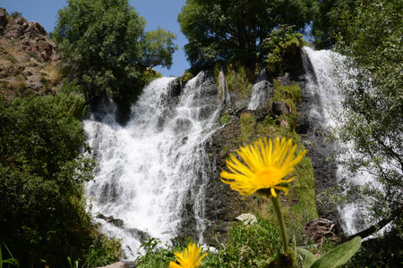 Waterfall in the middle of the forest with yellow flowers and blue skyの写真素材