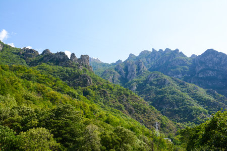 Mountain landscape with green forest and blue sky, Crimea, Ukraineの写真素材