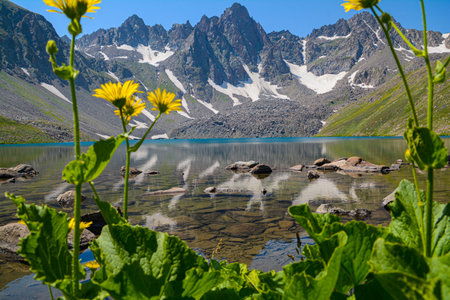 Mountain lake with yellow flowers in summer, Armeniaの写真素材