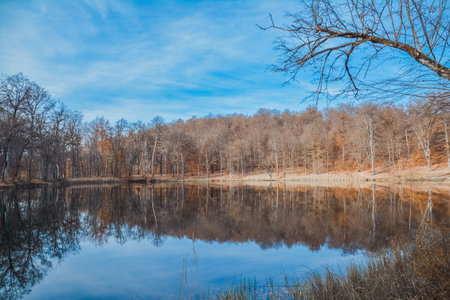Reflection of trees in the lake. Early spring in the forest.の写真素材