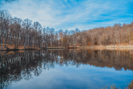 Reflection of trees in the lake. Early spring in the forest.の写真素材