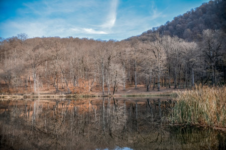 Reflection of the trees in the lake with the sky and cloudsの写真素材