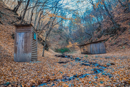 Wooden shed in the autumn forest. The photo was taken in Russia.の写真素材