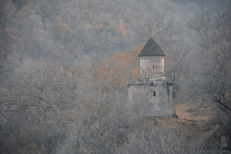 A beautiful shot of a building in a forest.