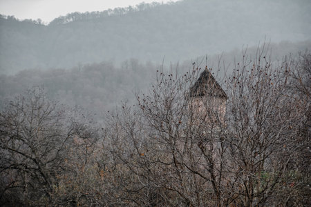 Tower of the castle in the forest in the foggy morningの写真素材