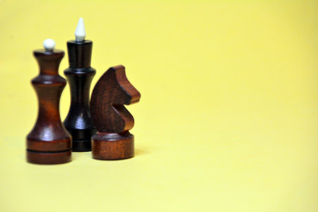 Chess pieces on a yellow background. Black and white figures on a yellow background.の写真素材