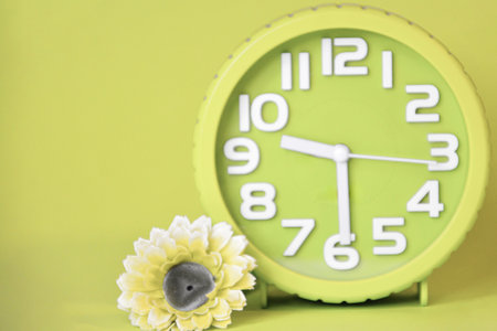 Green wall clock and yellow flower on green background with copy space.の写真素材