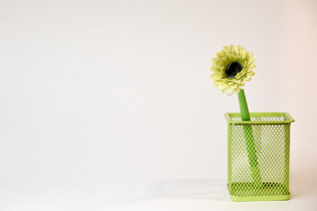 Gerbera flower in green basket on white background with copy spaceの写真素材