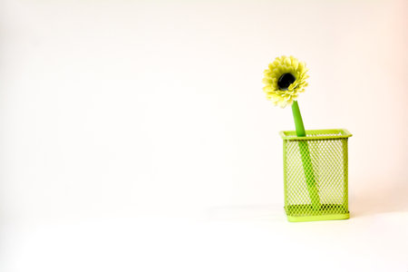 Gerbera flower in a green basket on a white background.の写真素材
