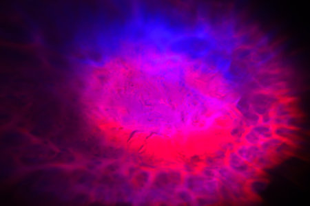 Fantasy chaotic colorful fractal pattern. Abstract fractal shapes. 3D rendering illustration background or wallpaper.の写真素材