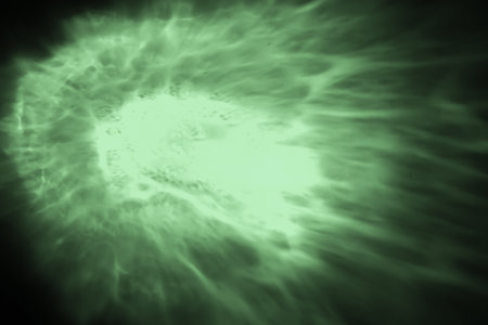 Green abstract background. Fantasy fractal texture. Digital art. 3D rendering.の写真素材