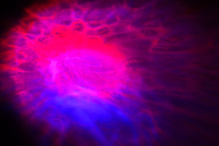 abstract light background with smooth lines in red, purple and blueの写真素材