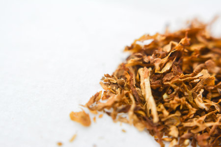 Close up of dried chanterelle mushroom on white background.の写真素材