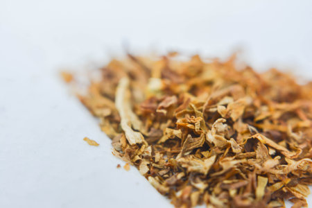 Dried plant on a white background. Close up. Selective focus.の写真素材