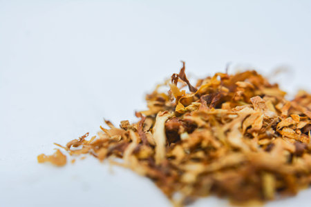 Dried tobacco leaves isolated on white background. Close-up.の写真素材