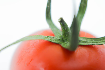 tomato close up on white background. macro shot of a tomatoの写真素材