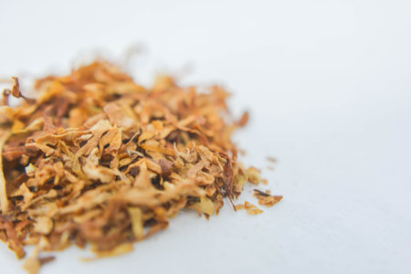 Dried tobacco leaves on white background, Thai herbal medicine use.の写真素材