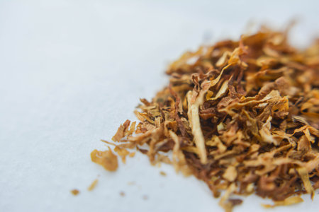 Close up of dried tobacco on white background. Selective focus.の写真素材