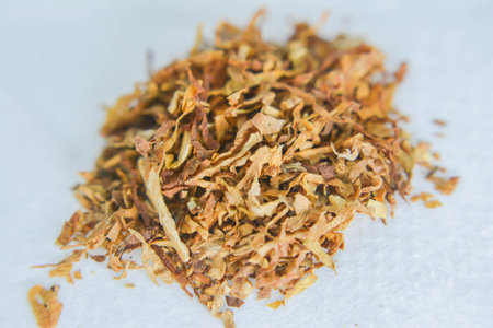 Heap of dried leaves on white background. Macro shot.の写真素材
