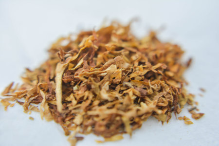 dried tobacco on white background, closeup of a pile of tobaccoの写真素材