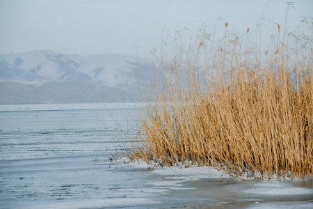 Winter landscape with frozen lake and reed. Lake Baikalの写真素材