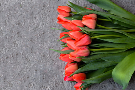 Bouquet of red tulips on a gray stone background.の写真素材