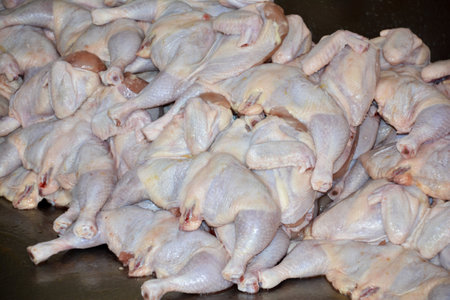 Fresh raw chicken on a market stall, close-up of photoの写真素材
