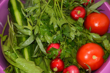 Fresh vegetables in a bucket with parsley, tomato and cucumberの写真素材