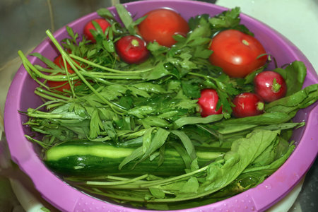 Tomatoes, cucumbers and arugula in a pink bowlの写真素材