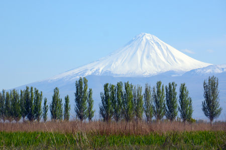 Beautiful natural landscape with mountains. Trees and green fields with snowy peaks.の写真素材