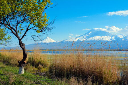 Lake Kawaguchiko and Mt Fuji in spring, Yamanashi, Japanの写真素材