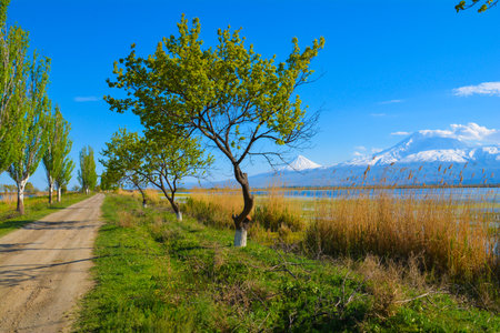 Beautiful natural landscape with mountains and river. Trees on the banks of lakes and river, green fields and Mount Ararat with snowy peaks.の写真素材