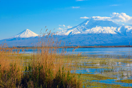 Lake and mountains in Yamanashi, Japanの写真素材