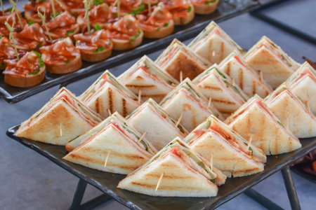 Sandwiches with salmon, tomatoes and cheese on a black plateの写真素材