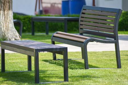 Park bench in the garden with green grass and trees.の写真素材