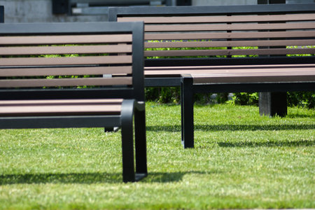 Wooden bench in the park on the grass. Selective focus.の写真素材