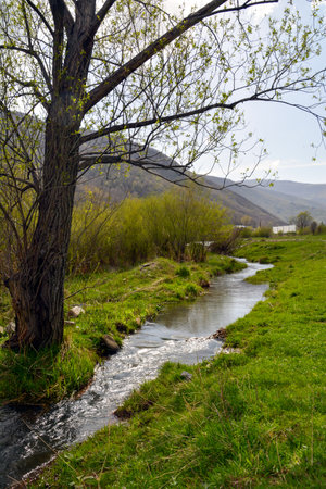 Spring landscape with a small river and a green meadow in the mountainsの写真素材