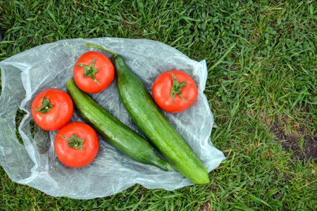 Tomatoes and cucumbers in plastic bag on green grass background.の写真素材