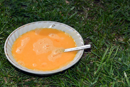 Pumpkin soup in a bowl on the grass in the parkの写真素材