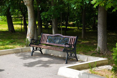 Bench in the park in the summer. Russia, St. Petersburgの写真素材