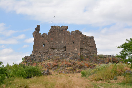 Ruins of the medieval castleの写真素材