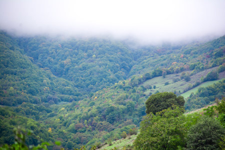 Mountain landscape in the fog. View from the top of the mountain.の写真素材
