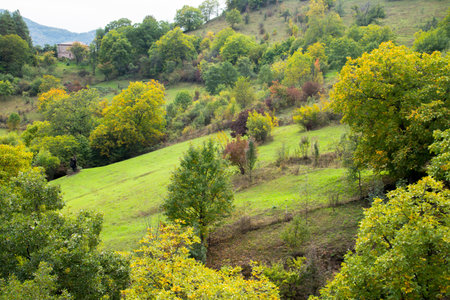 Autumn landscape with trees and meadows in Transylvania, Romaniaの写真素材
