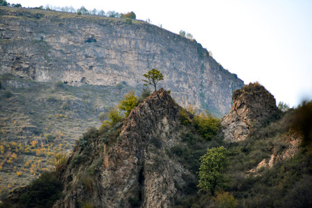 Mountain landscape with a tree in the foreground, Crimea, Ukraineの写真素材