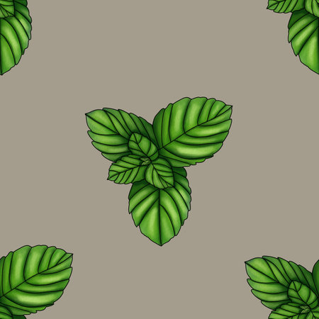 Seamless Pattern Nature Mint Big Design on Pastel Gray Backgroundの写真素材