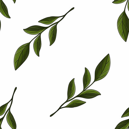 Seamless Pattern Elegant Green Leaves Big Design on White Backgroundの写真素材