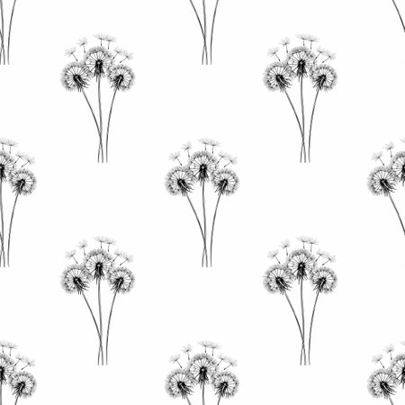 Seamless Pattern Dandelions Flower Small Design on White Backgroundの写真素材