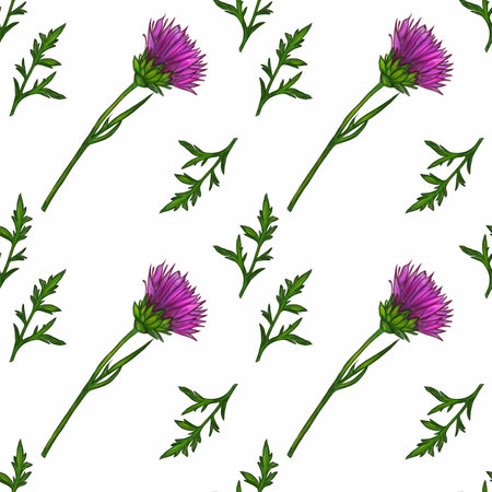 A watercolor seamless pattern featuring purple thistle flowers and green leaves on a white background.の写真素材