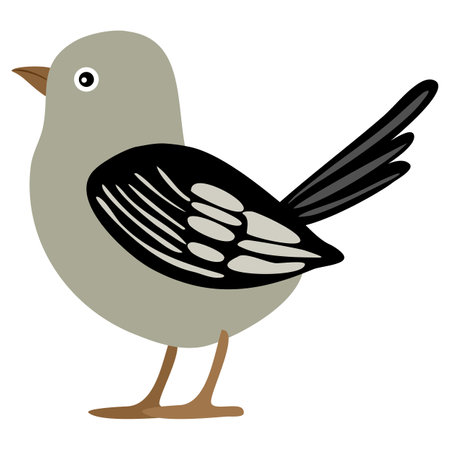 A simple vector, cartoon-style illustration of a bird with a round body, gray and black feathers, and a short beak. The bird stands sideways, showcasing its tail and wing details.のイラスト素材