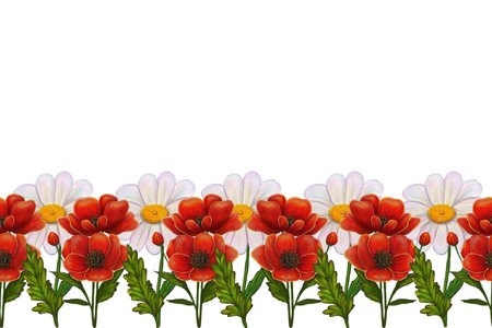 A vibrant floral border featuring red poppies and white daisies with green leaves, ideal for decorative purposes.の写真素材